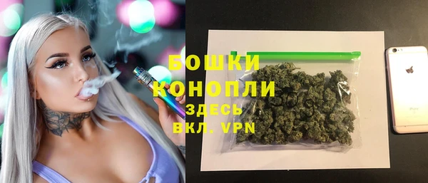 гидра Ладушкин