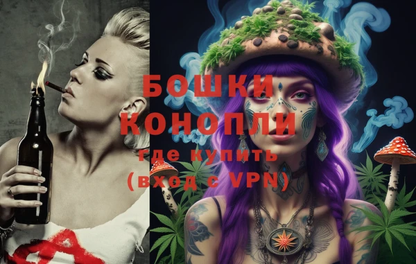 гидра Ладушкин