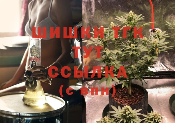 молекула духа Лабытнанги