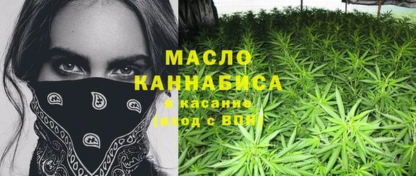 молекула духа Лабытнанги