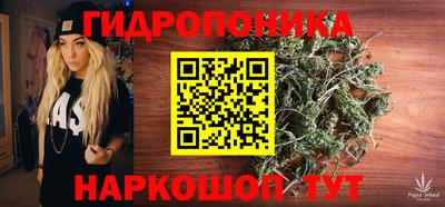 не бодяженный Гай