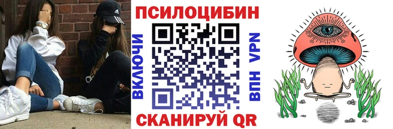 Псилоцибиновые грибы мицелий  Чита 