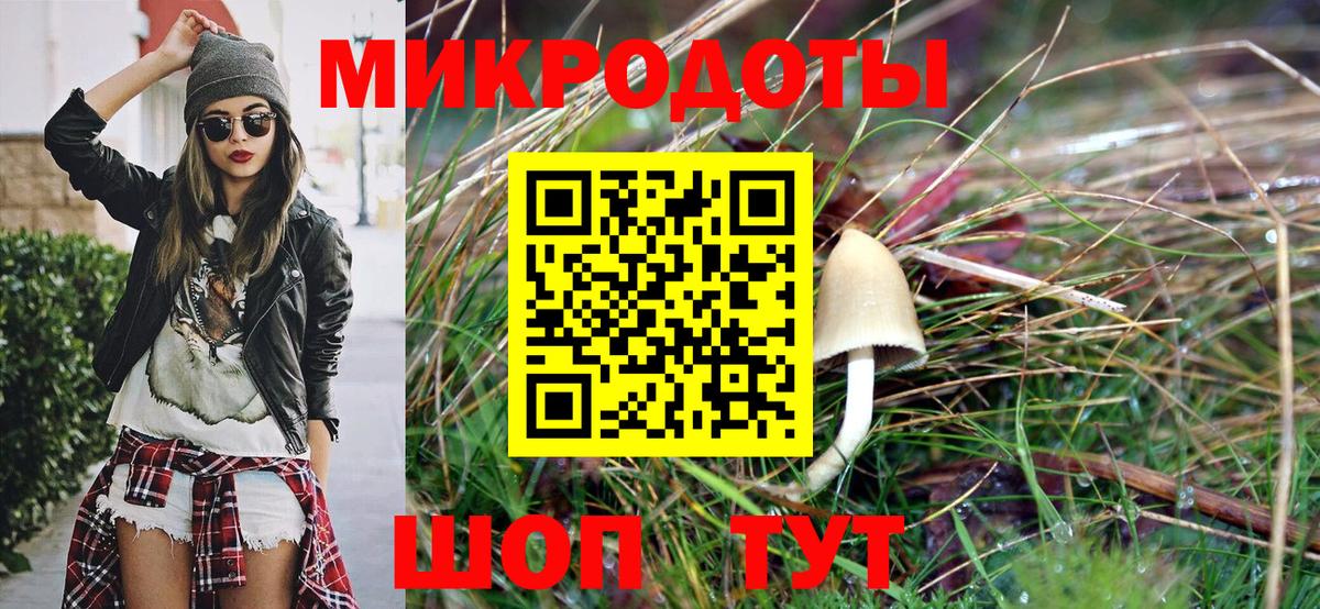 Галлюциногенные грибы Cubensis  Чита  как найти наркотики  Псилоцибиновые грибы мицелий 