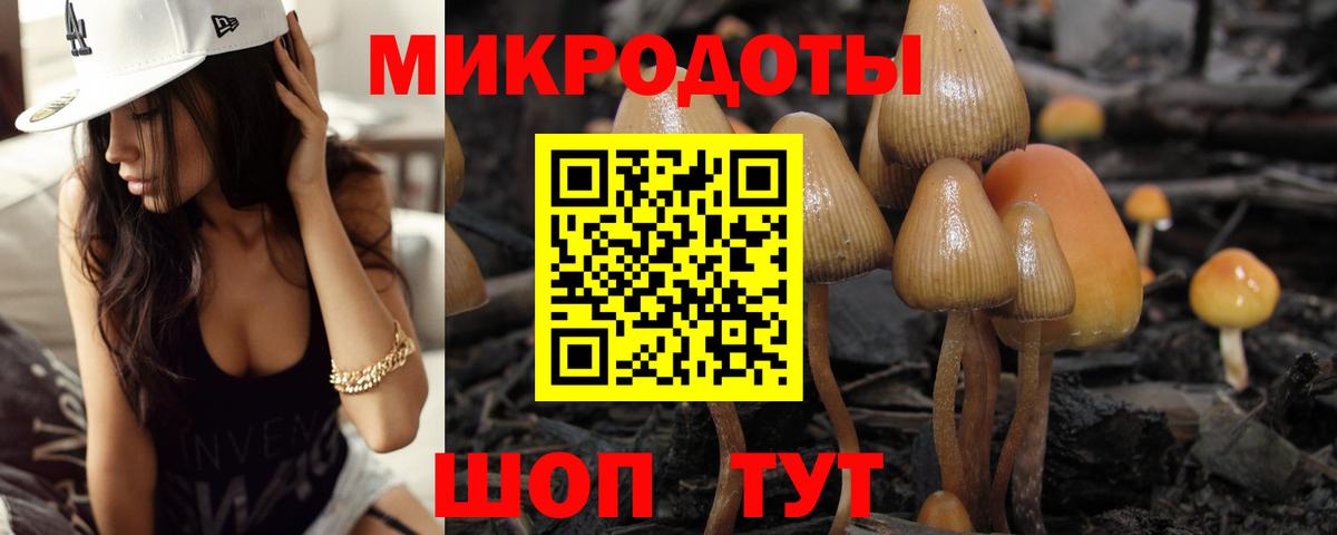 Псилоцибиновые грибы мицелий  закладки  Чита  Вход с VPN 