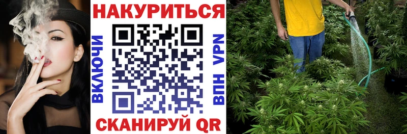MEGA ссылки Чита Шишки марихуана White Widow хочу наркоту