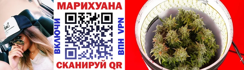 Марихуана индика Чита